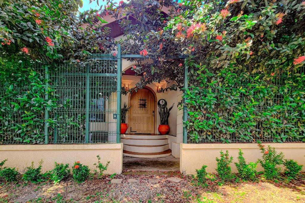 Vive Utila - Bed & Breakfast Εξωτερικό φωτογραφία