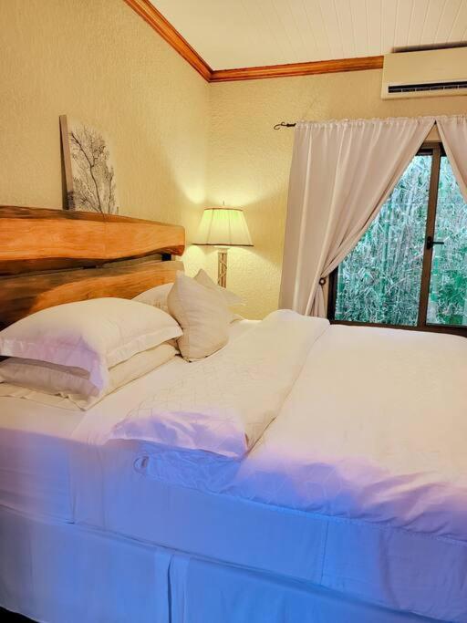 Vive Utila - Bed & Breakfast Εξωτερικό φωτογραφία