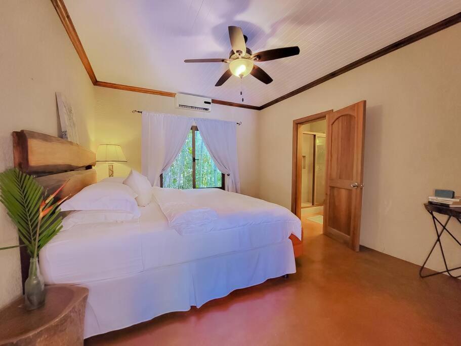 Vive Utila - Bed & Breakfast Εξωτερικό φωτογραφία