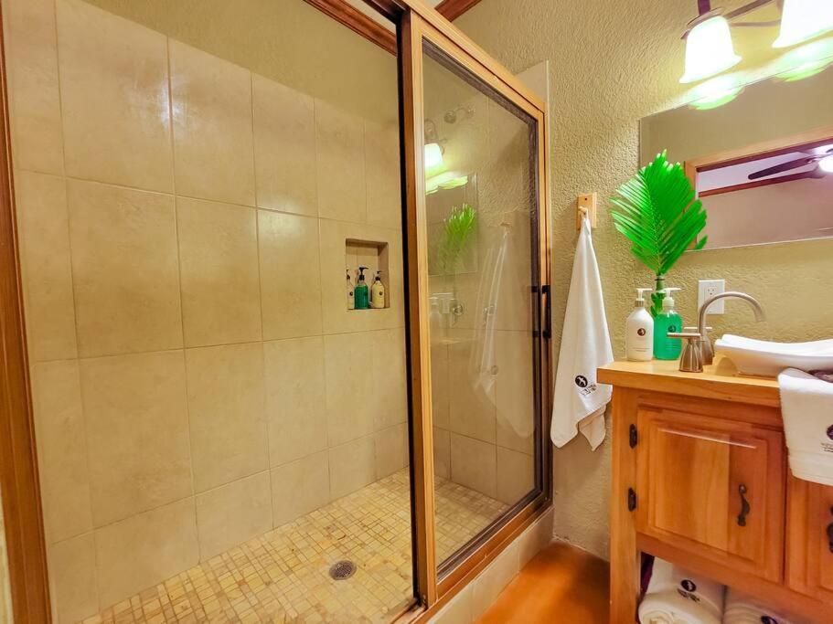 Vive Utila - Bed & Breakfast Εξωτερικό φωτογραφία