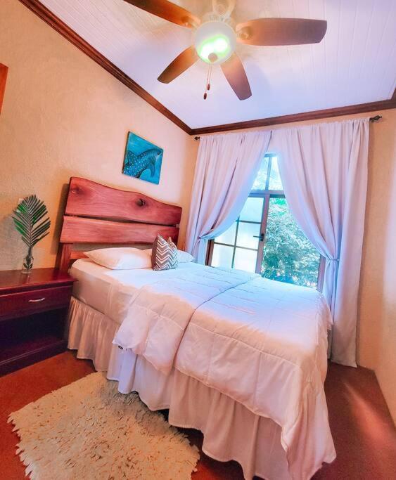 Vive Utila - Bed & Breakfast Εξωτερικό φωτογραφία