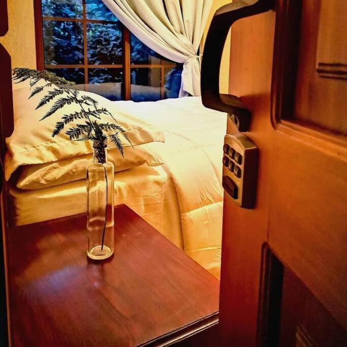 Vive Utila - Bed & Breakfast Εξωτερικό φωτογραφία