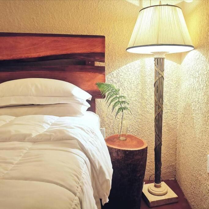 Vive Utila - Bed & Breakfast Εξωτερικό φωτογραφία