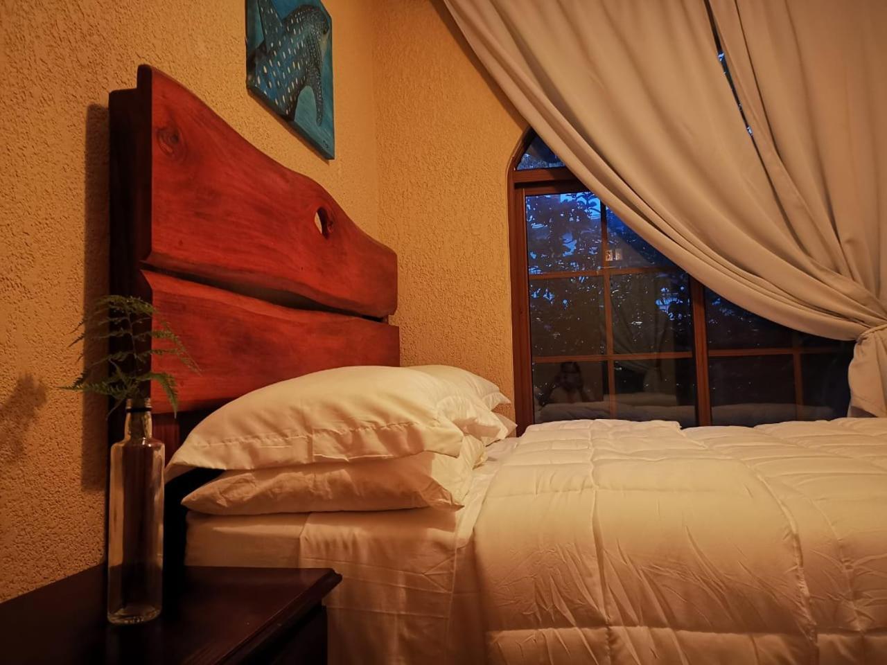 Vive Utila - Bed & Breakfast Δωμάτιο φωτογραφία