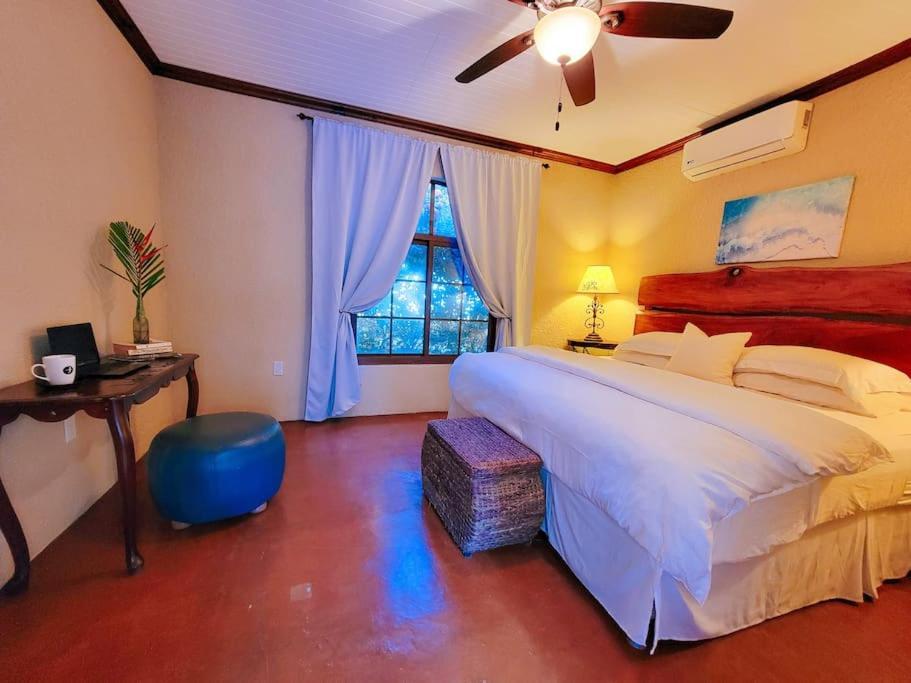 Vive Utila - Bed & Breakfast Εξωτερικό φωτογραφία