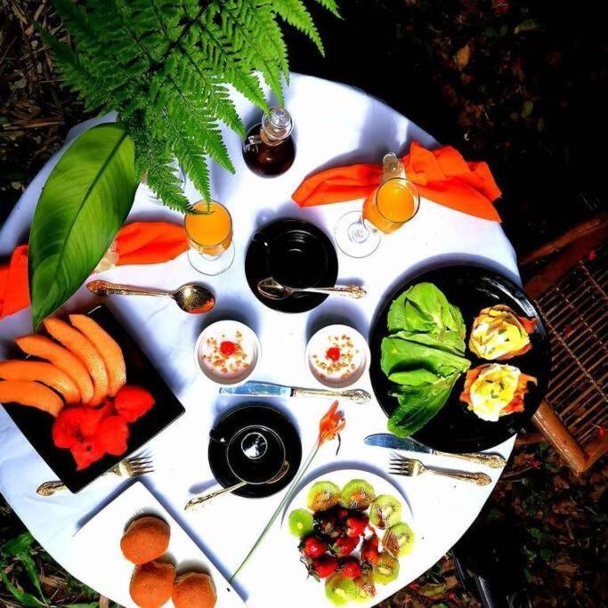 Vive Utila - Bed & Breakfast Εξωτερικό φωτογραφία